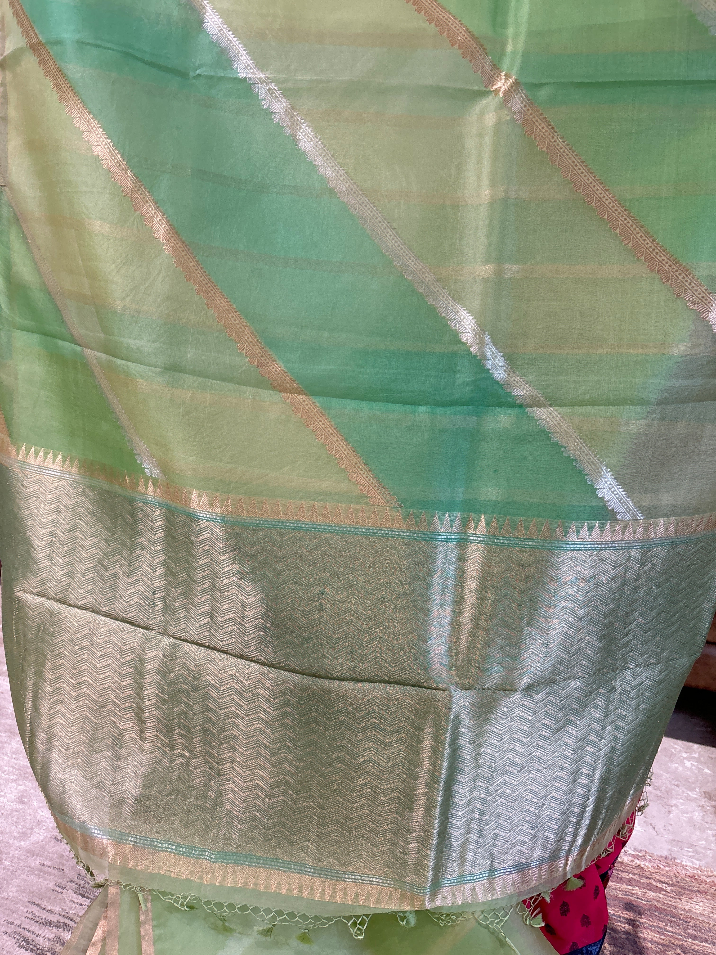 Pure organza saree