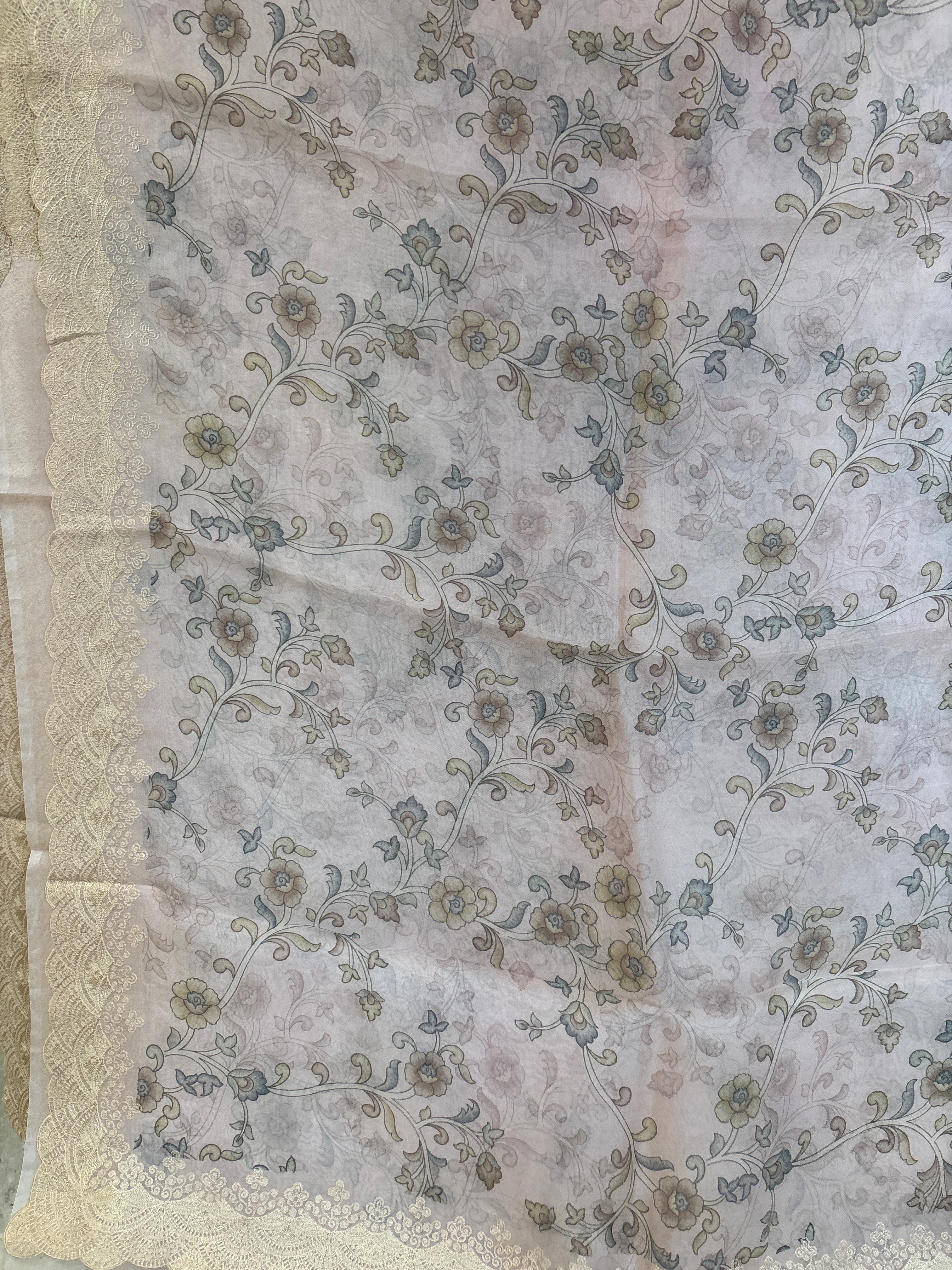 Pure organza saree