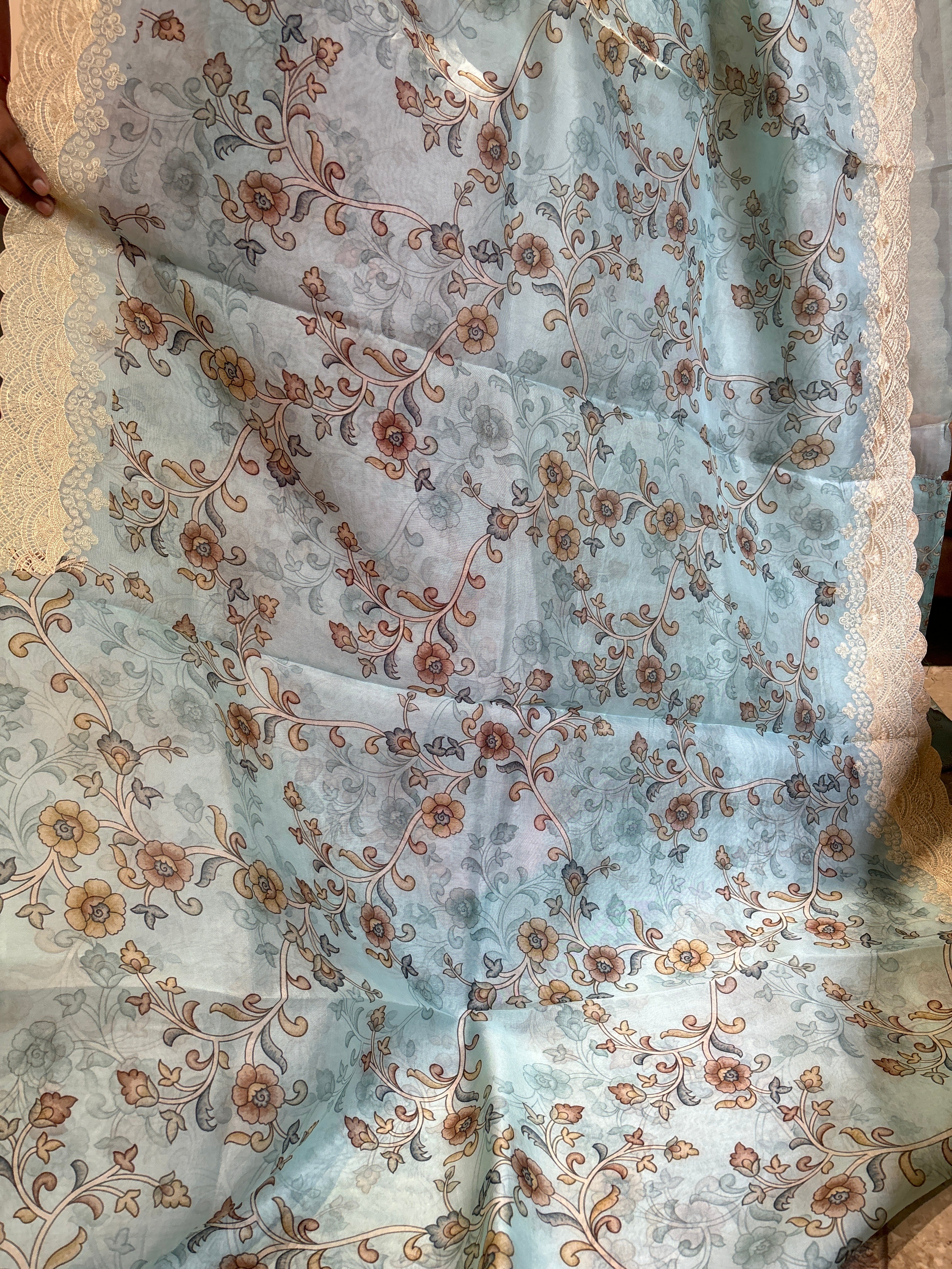 Pure organza saree