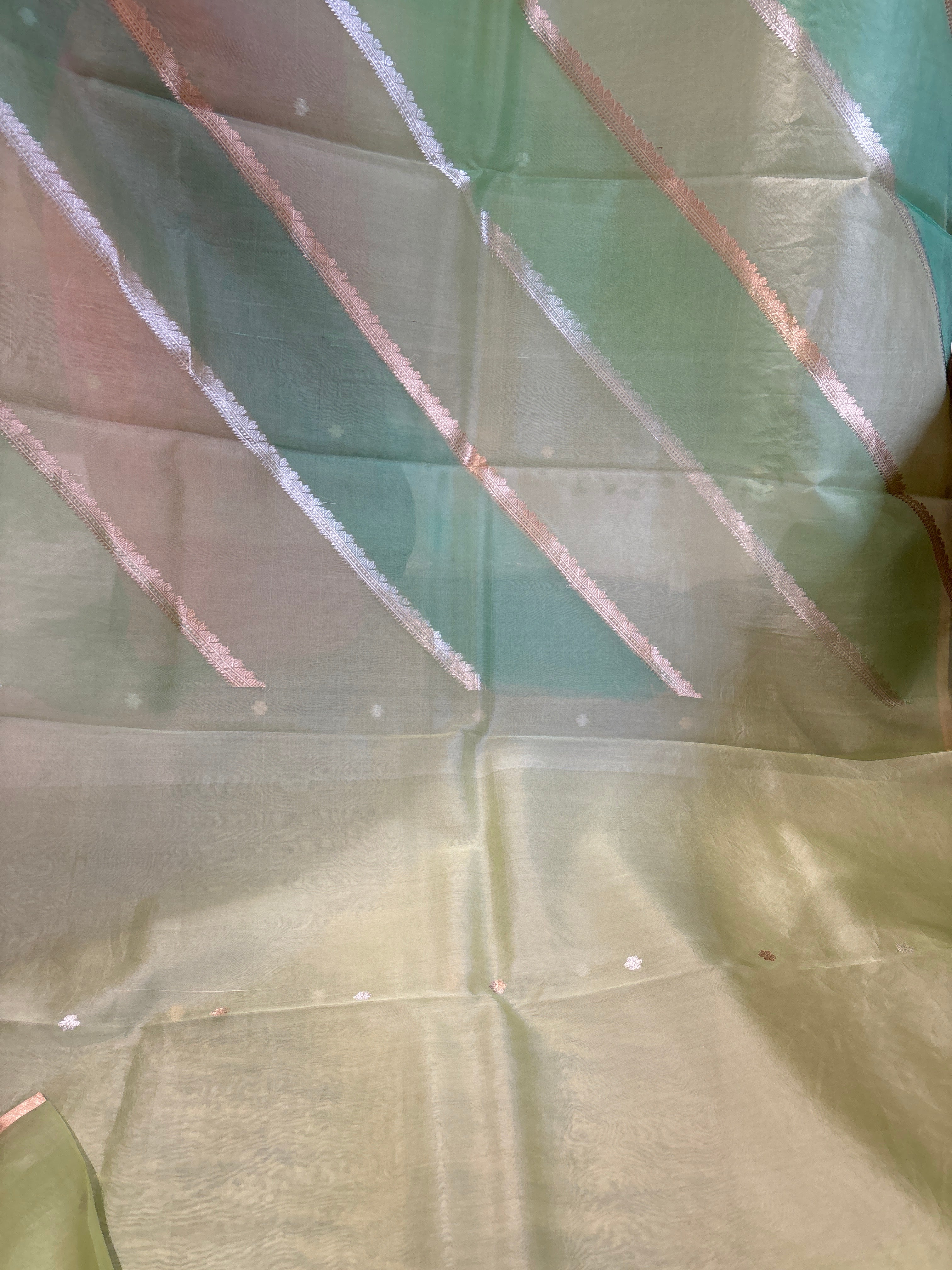 Pure organza saree